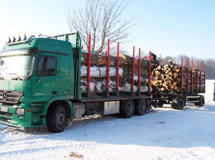 Rollen Stammholz – Buche, Birke, Nadelholz direkt per LKW-Ladung nach Hause