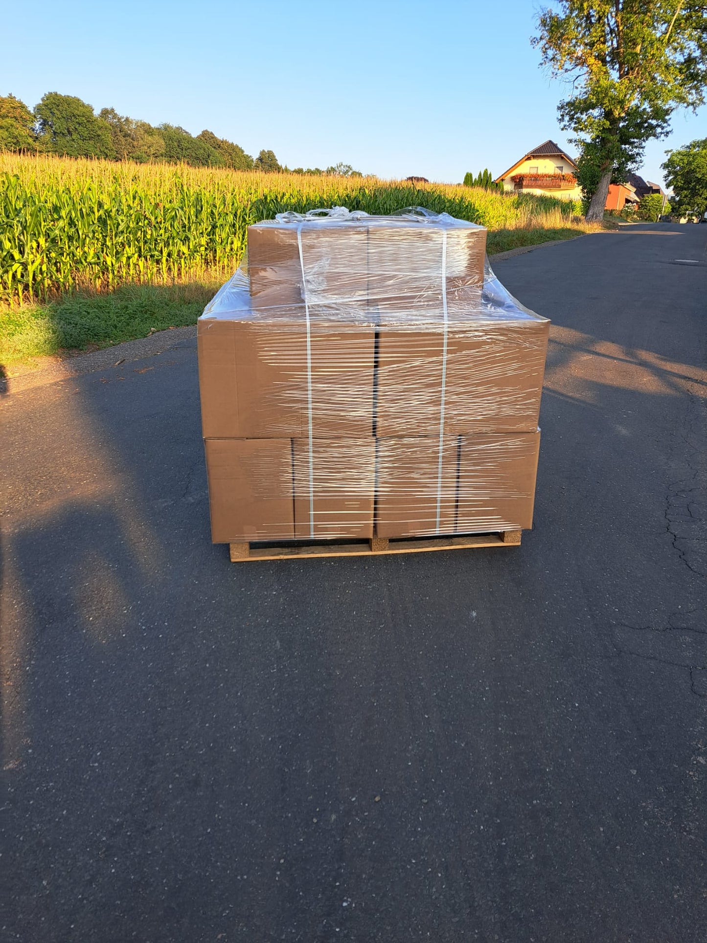 Kartons Brennholz fertig verpackt
