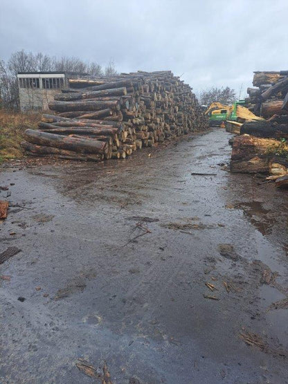 Rollen Stammholz – Buche, Birke, Nadelholz direkt per LKW-Ladung nach Hause
