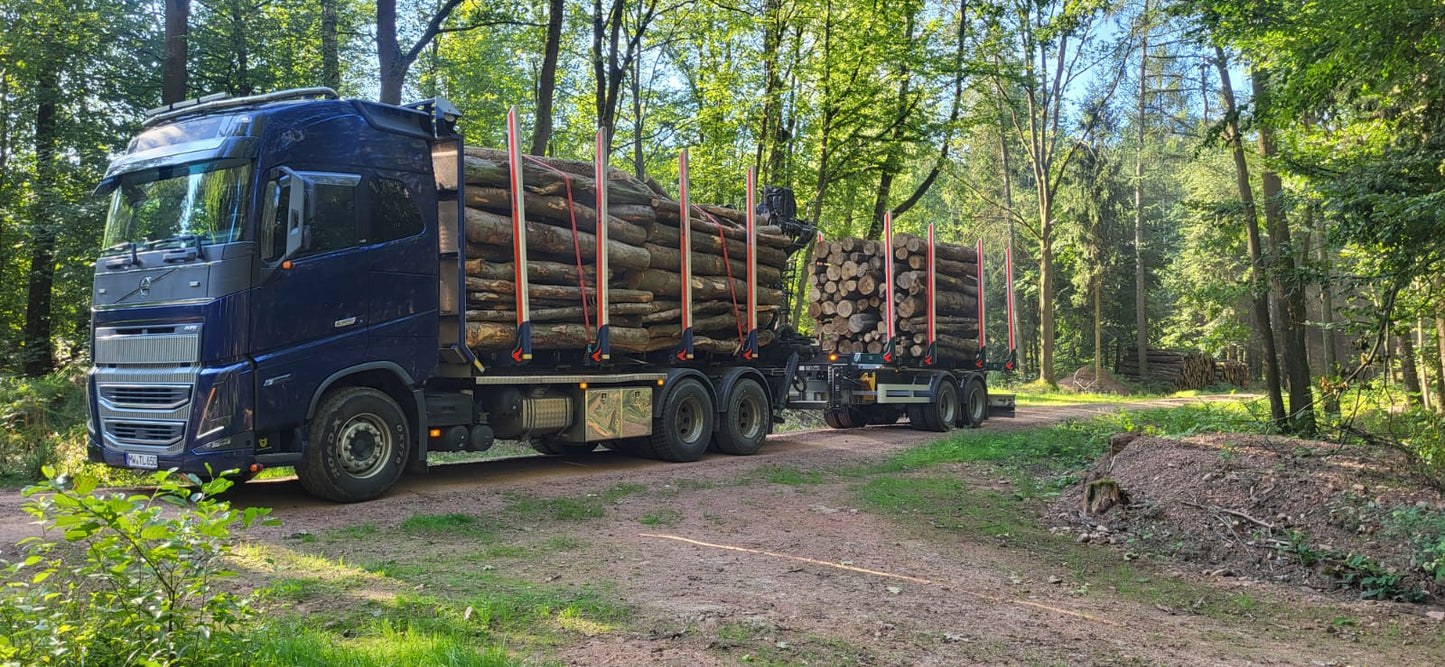 Baumabschnitte – Schüttraummeter Brennholz zum Selbstspalten kaufen