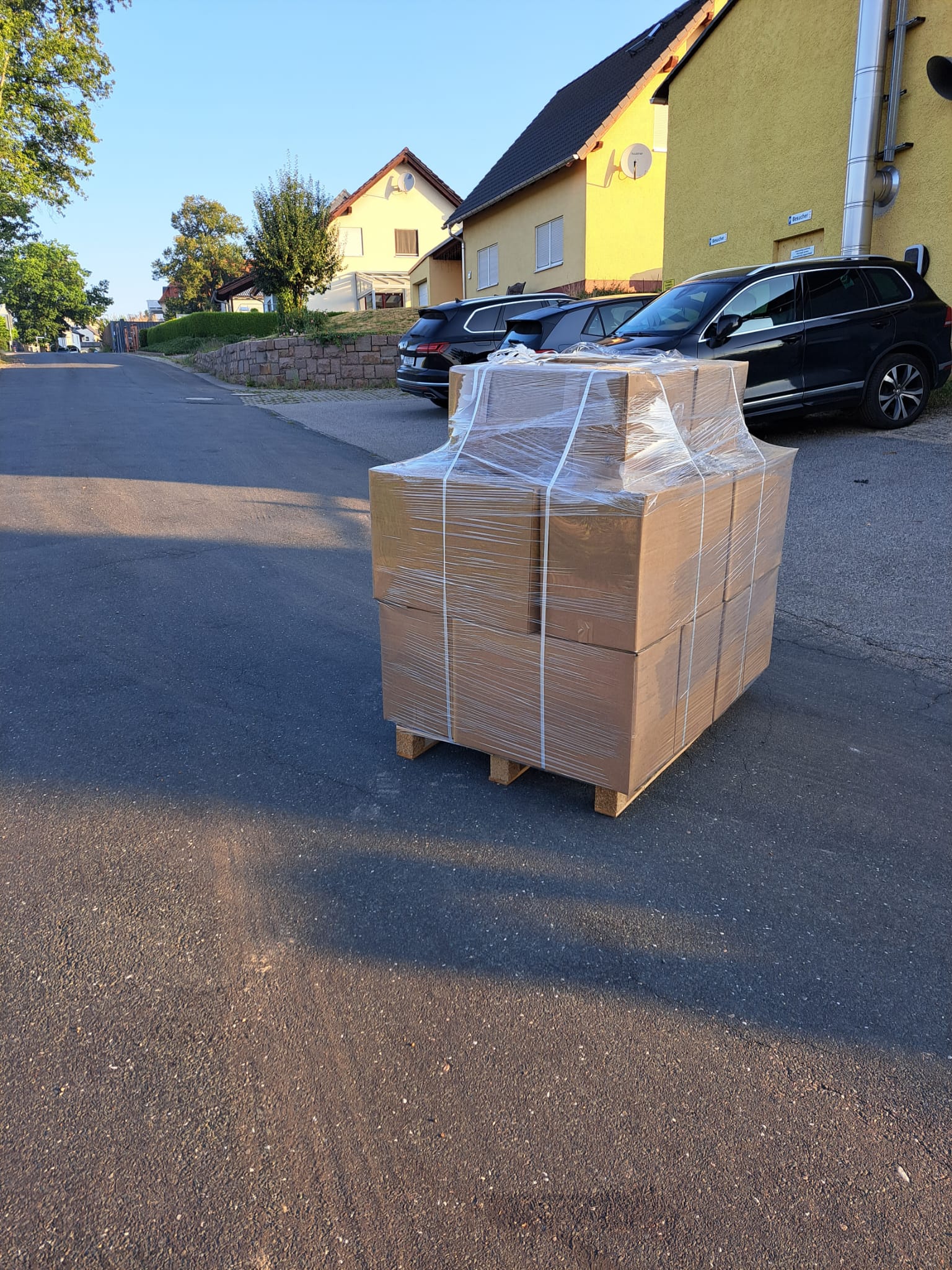 Brennholz Kartons auf Palette